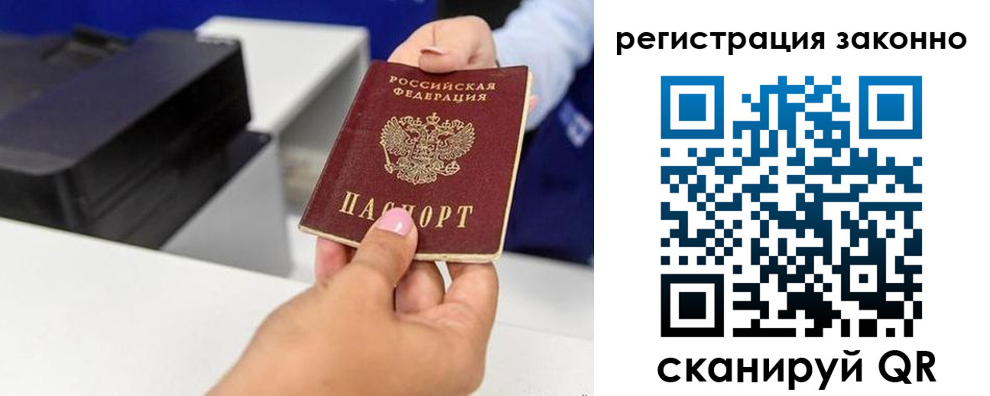 прописка для школы в Купино